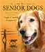 The Living Well Guide for Senior Dogs : Everything You Need to Know for a Happy & Healthy Companion cover
