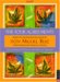 Four Agreements 2008 Calendar: A Calendar for Wisdom and Personal Freedom