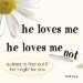 He Loves Me, He Loves Me Not : Quizzes to Find Out If He's Right for You cover