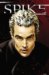 Spike cover
