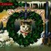 Celebration, the Christmas Cat Book cover