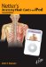Netter's Anatomy Flash Cards on Ipod cover