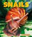 Snails cover