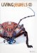 Living Jewels 2 : The Magical Design of Beetles cover