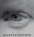 Robert Mapplethorpe : A Monograph cover
