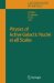 Physics of Active Galactic Nuclei at All Scales cover