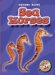 Sea Horses cover