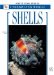 Shells cover