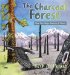 The Charcoal Forest : How Fire Helps Animals and Plants cover