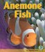 Anemone Fish cover
