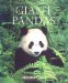 Giant Pandas cover