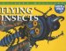 Flying Insects cover