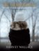 Victimology : Legal, Psychological, and Social Perspectives cover