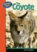 The Coyote cover