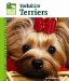 Yorkshire Terriers cover
