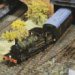 Painting Locomotives And Rolling Stock cover