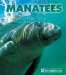 Manatees cover