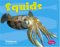  Squids