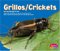 Grillos/crickets cover