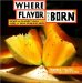 Where Flavor Was Born : Recipes and Culinary Travels Along the Indian Ocean Spice Route cover