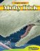 Moby Dick cover