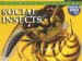 Social Insects cover