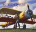 Wind Flyers cover
