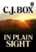 In Plain Sight cover