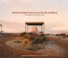 Observations in an Occupied Wilderness cover