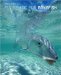 Fly Fishing for Bonefish : A Comprehensive Guide to the Fish -- and to the Tackle, Flies, Skills, and Techniques Needed to Catch It cover