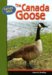 The Canada Goose