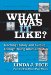 What Was It Like? : Teaching History And Culture Through Young Adult Literature cover