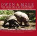 Owen & Mzee : The Language of Friendship cover