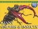 Giant Spiders & Insects : Giant Spiders And Insects cover