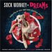 Sock Monkey Dreams : Daily Life at the Red Heel Monkey Shelter cover