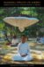 Making Fields of Merit : Buddhist Femal Ascetics and Gendered Orders in Thailand cover