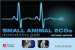 Small Animal ECGs : An Introductory Guide cover