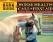 Storey's Barn Guide to Horse Health Care + First Aid cover