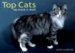 Top Cats cover