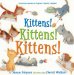 Kittens! Kittens! Kittens! cover