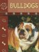 Bulldogs cover