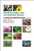 Weeds in South Texas and Northern Mexico : A Guide to Identification cover