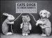 Cats, Dogs & Other Rabbits : The Extraordinary World of Harry Whittier Frees cover