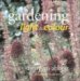Gardening With Light & Colour cover