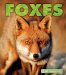 Foxes cover