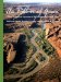 The Ribbon of Green : Change in Riparian Vegetation in the Southwestern United States cover