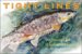 Tight Lines : Ten Years of the Yale Anglers' Journal cover