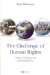 The Challenge of Human Rights : Origin, Development, And Significance cover