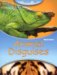 Animal Disguises cover