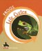 Frogs cover